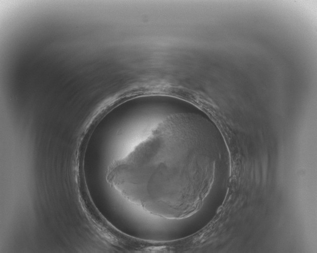 X0000071390054200606301846