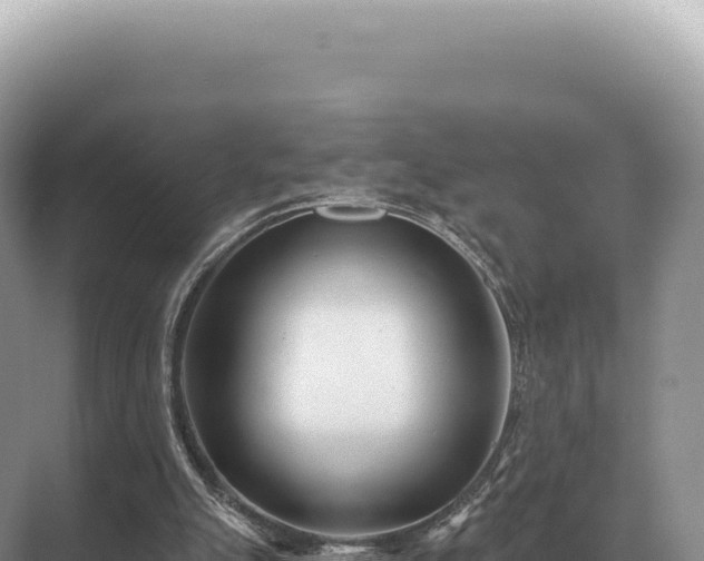 X0000071390055200606301846