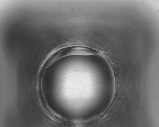 X0000071390056200606301846