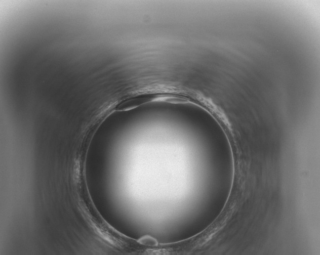 X0000071390057200606301846