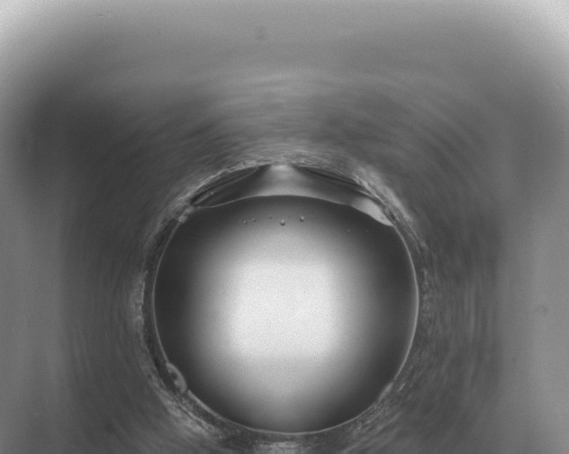 X0000071390058200606301846