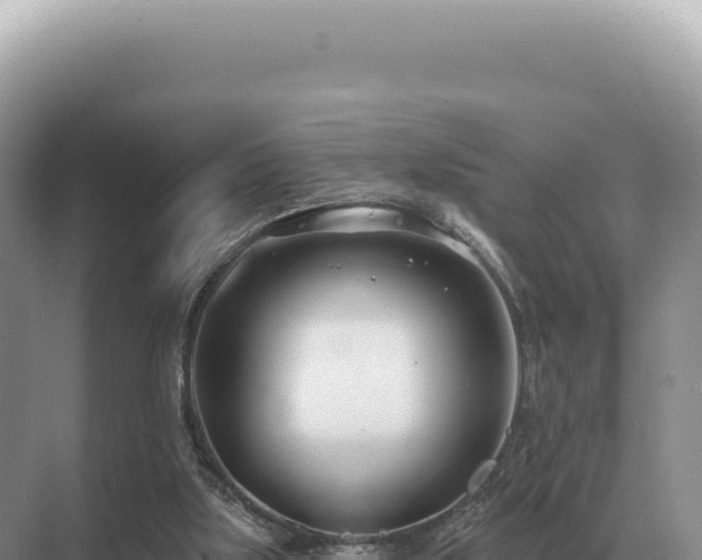 X0000071390059200606301846