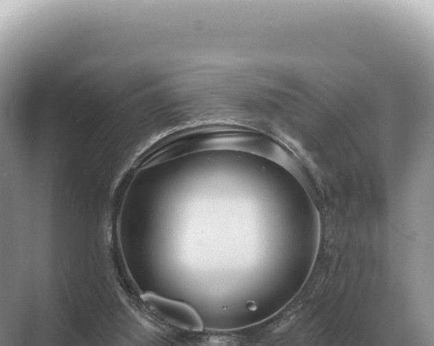 X0000071390060200606301846