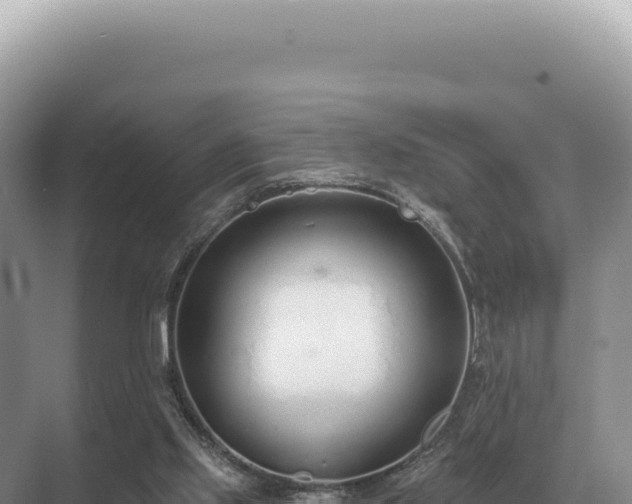 X0000071390061200606301846