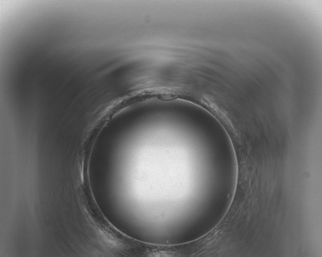 X0000071390062200606301846