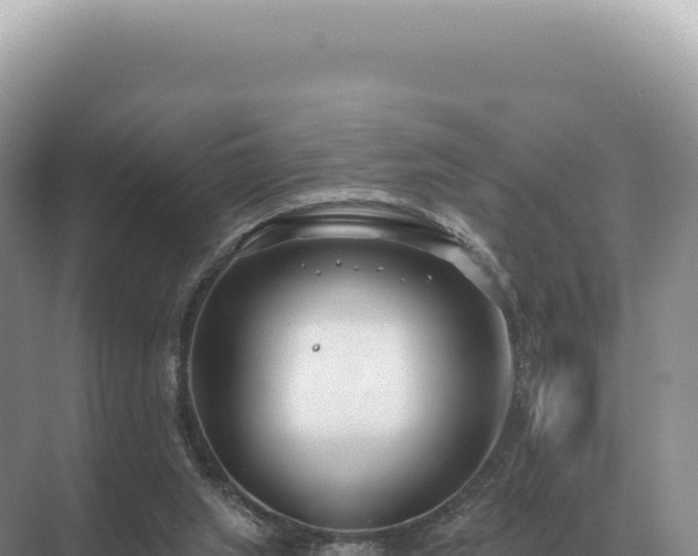 X0000071390063200606301846