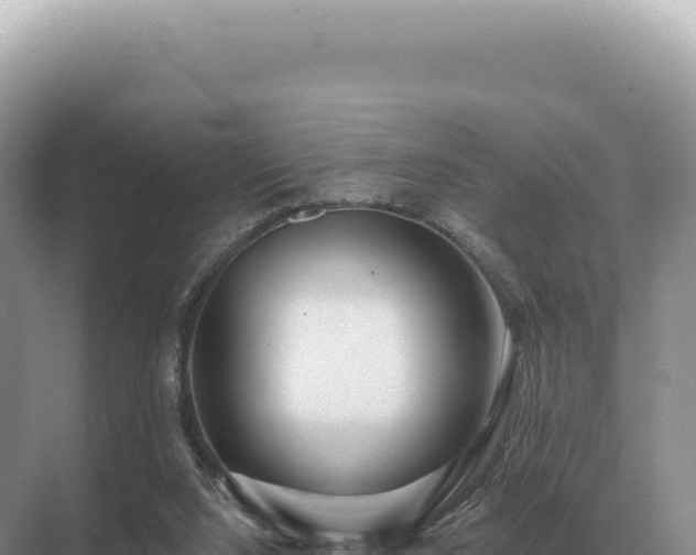 X0000071390064200606301846