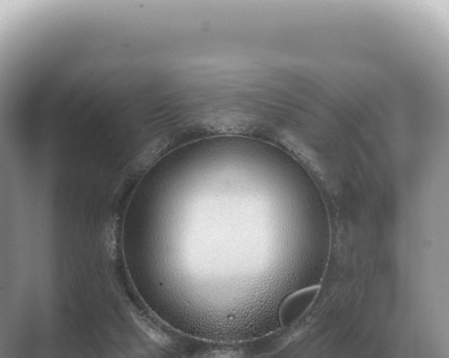 X0000071390065200606301846