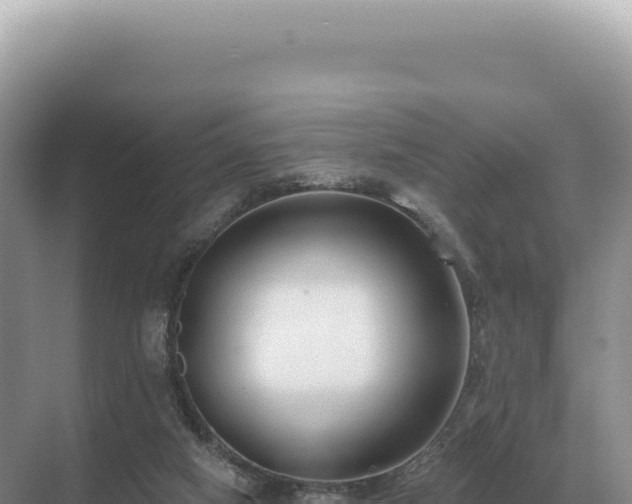 X0000071390066200606301846