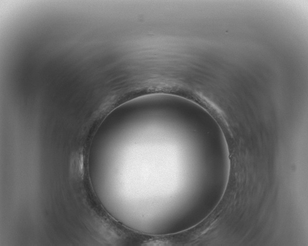 X0000071390067200606301846