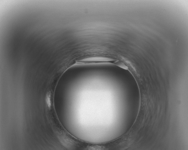 X0000071390069200606301846