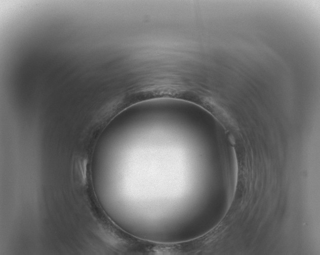 X0000071390070200606301846