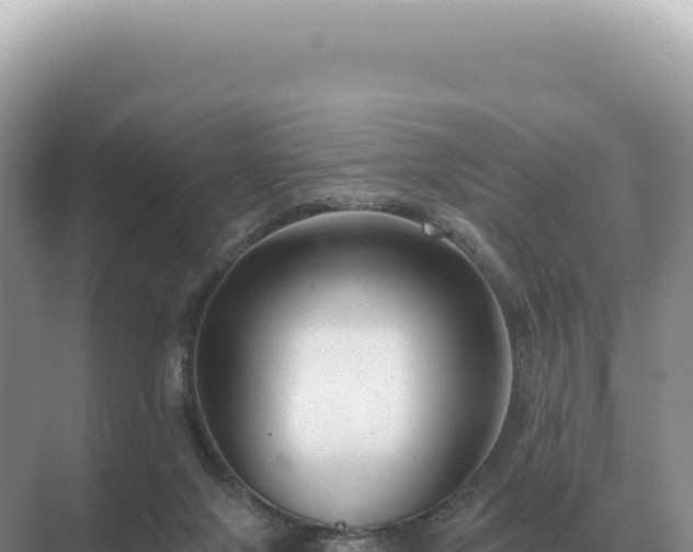 X0000071390071200606301847