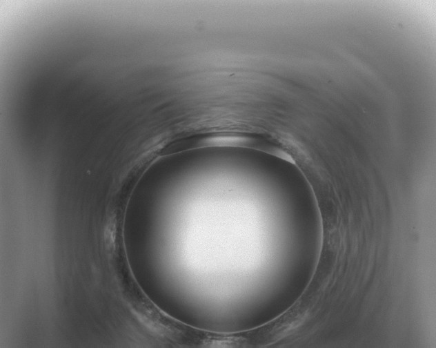 X0000071390072200606301847