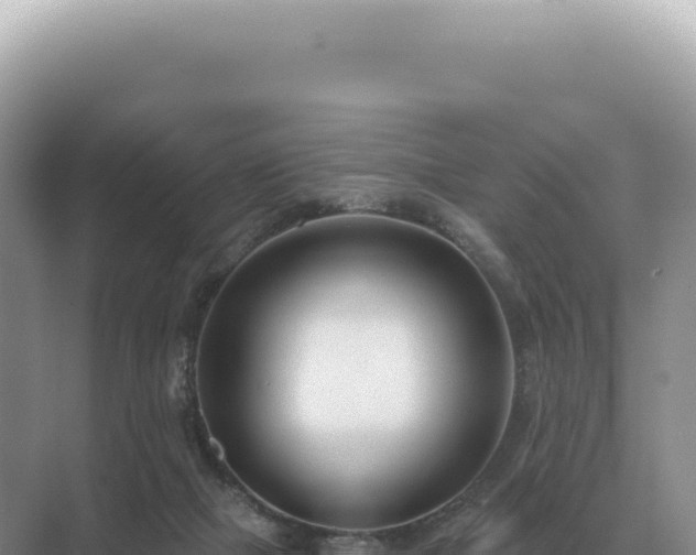 X0000071390073200606301847