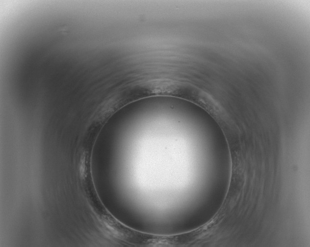 X0000071390074200606301847