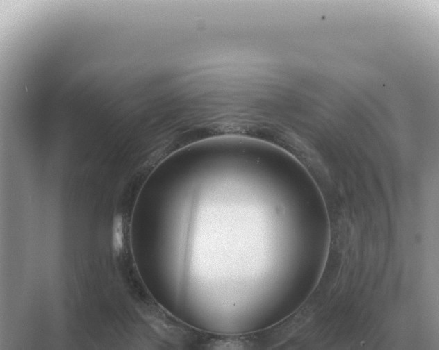 X0000071390075200606301847