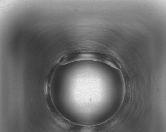 X0000071390076200606301847