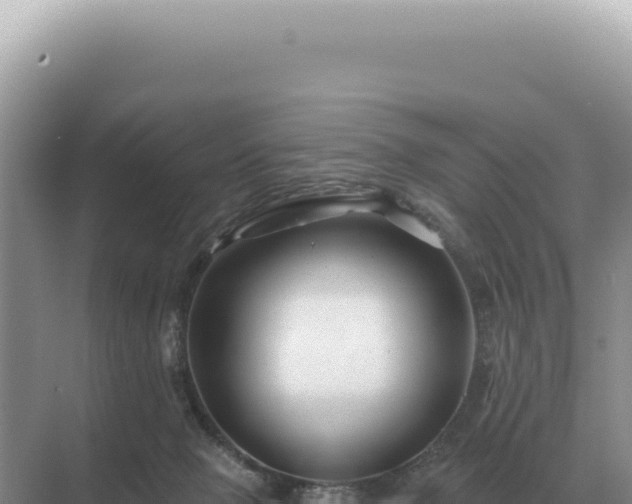 X0000071390077200606301847