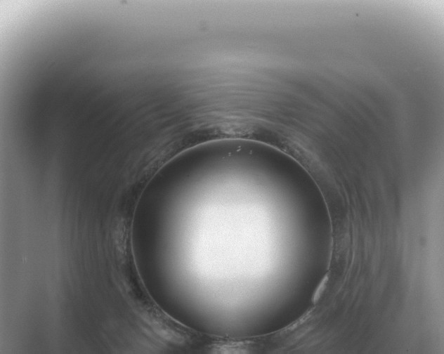 X0000071390078200606301847