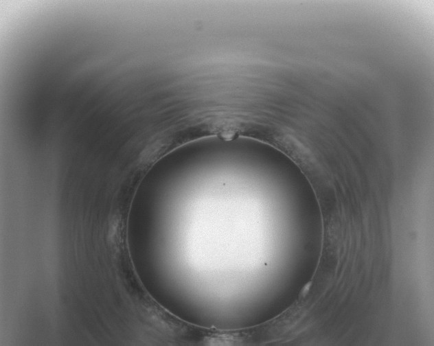 X0000071390079200606301847