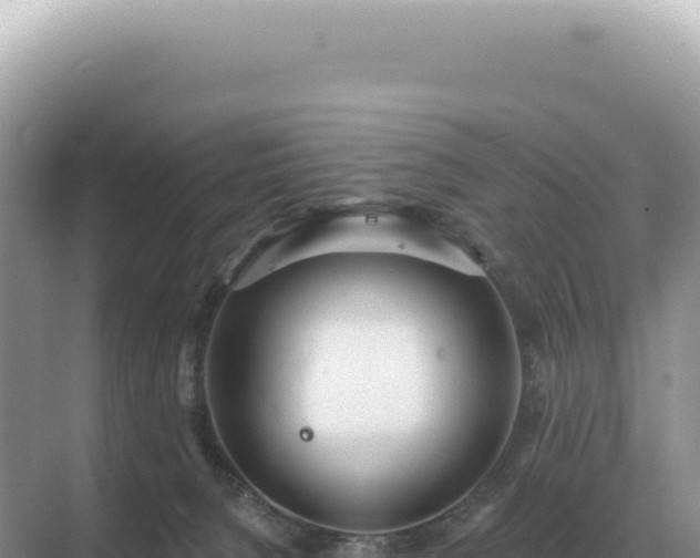 X0000071390080200606301847