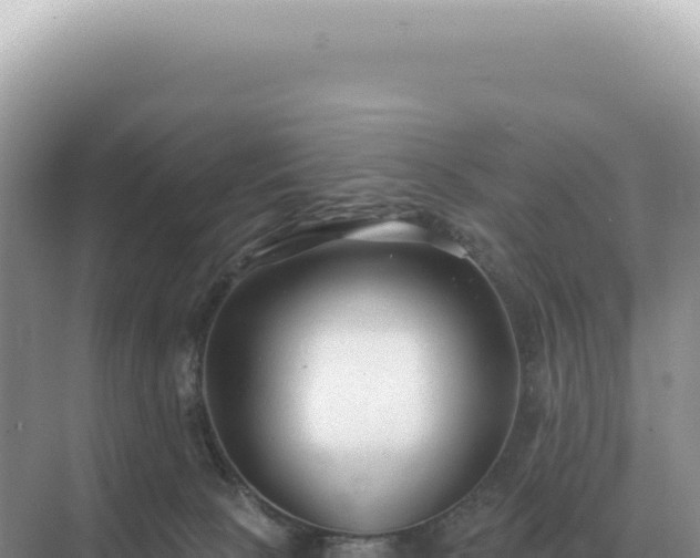 X0000071390081200606301847