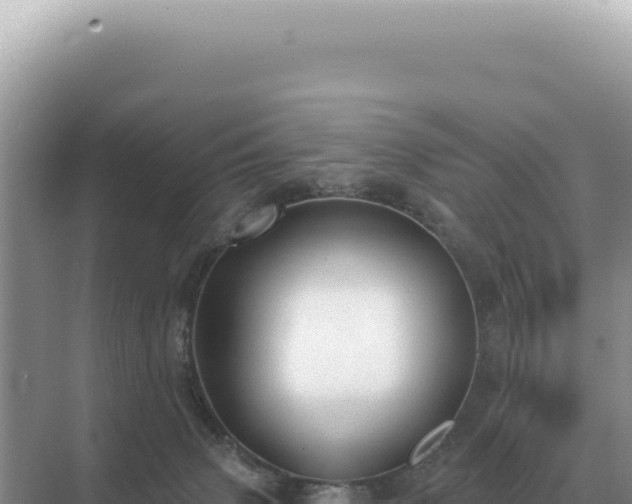 X0000071390083200606301847