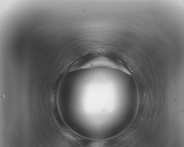 X0000071390084200606301847