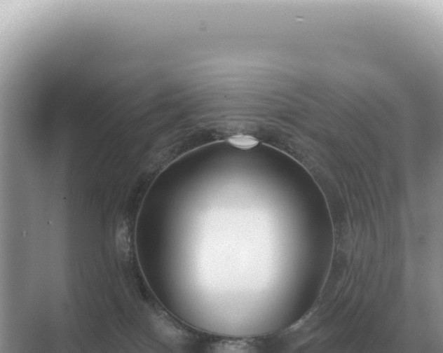 X0000071390086200606301847