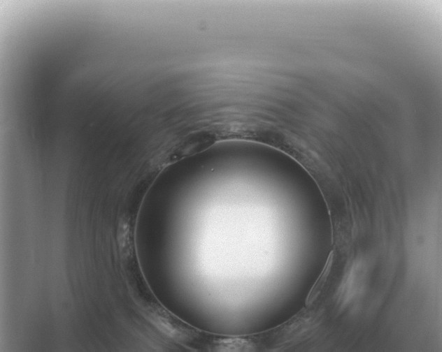 X0000071390087200606301847