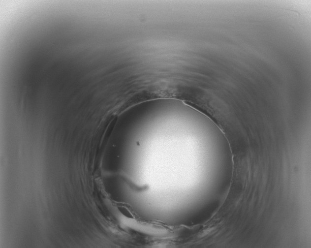 X0000071390088200606301847