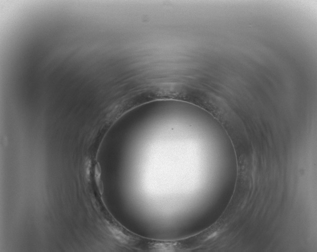 X0000071390089200606301847