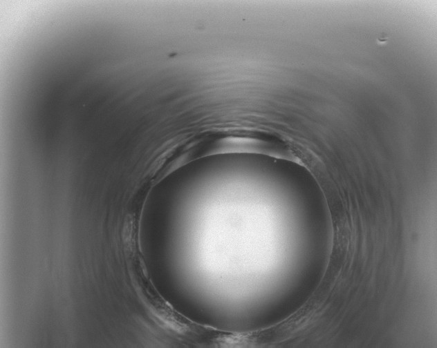 X0000071390092200606301847