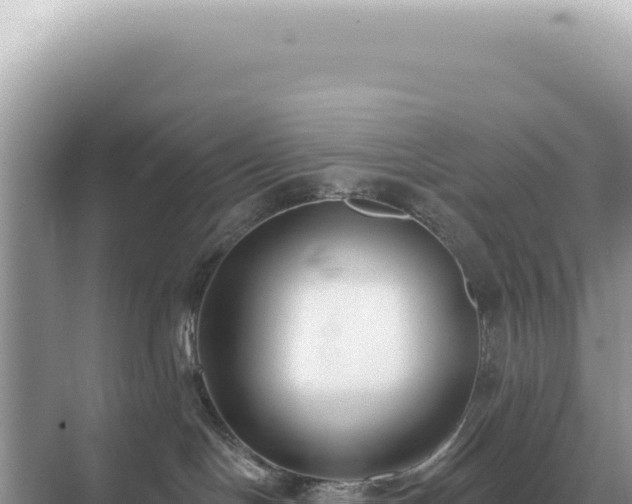 X0000071390094200606301847