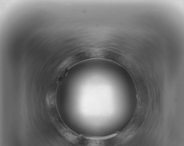 X0000071390096200606301847