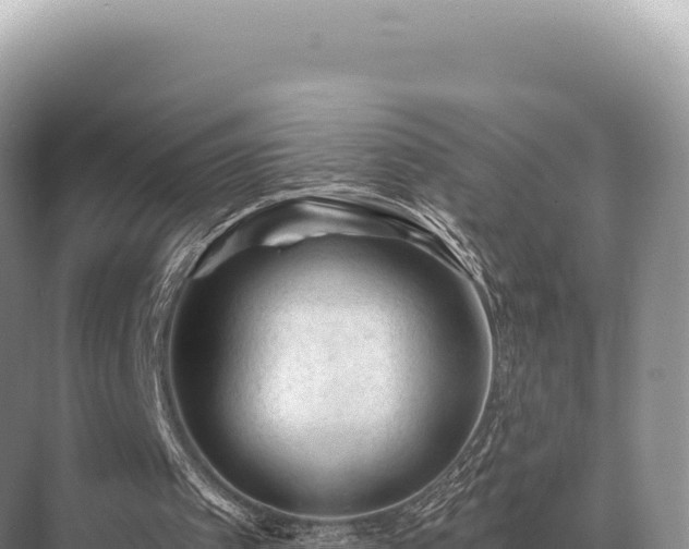 X0000071390097200606301846