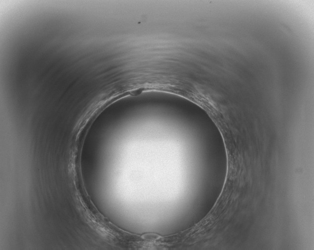 X0000071390098200606301846