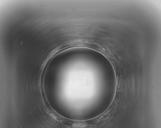 X0000071390099200606301846