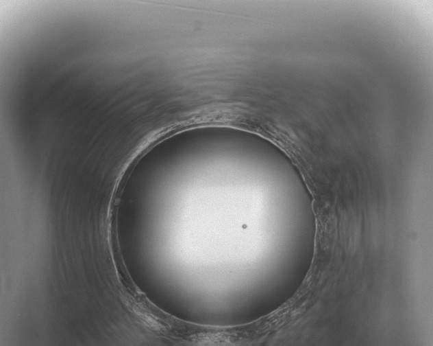 X0000071390100200606301846