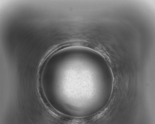 X0000071390101200606301846