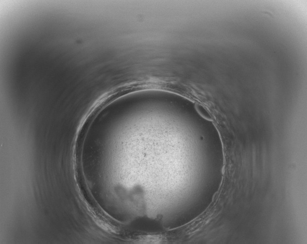 X0000071390102200606301846