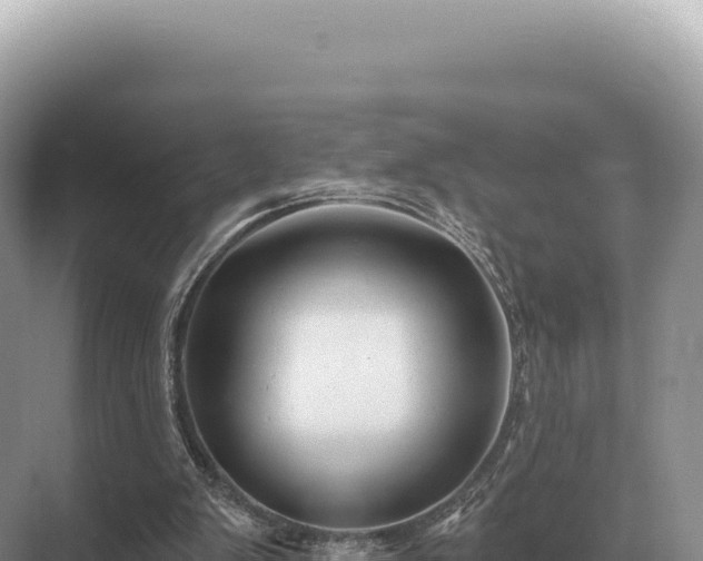 X0000071390103200606301846