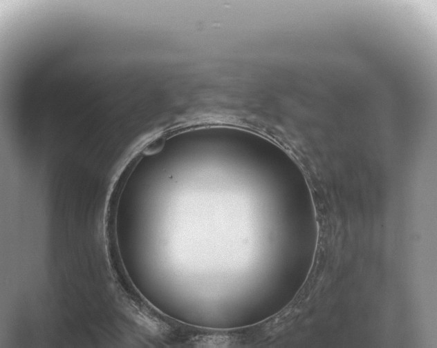 X0000071390104200606301846