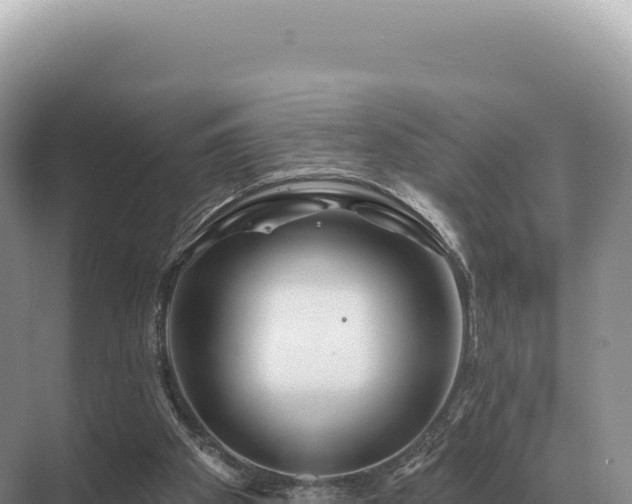 X0000071390105200606301846