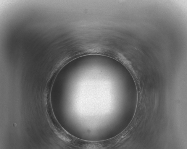 X0000071390106200606301846