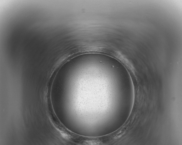 X0000071390107200606301846