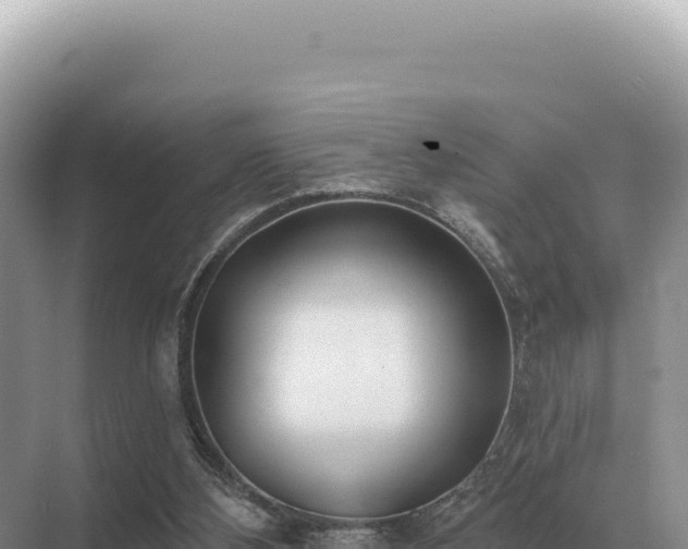 X0000071390108200606301846