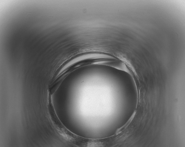 X0000071390109200606301846