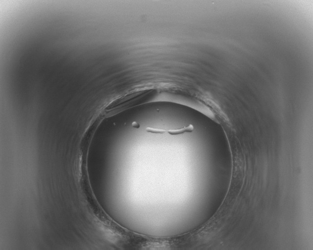 X0000071390110200606301846